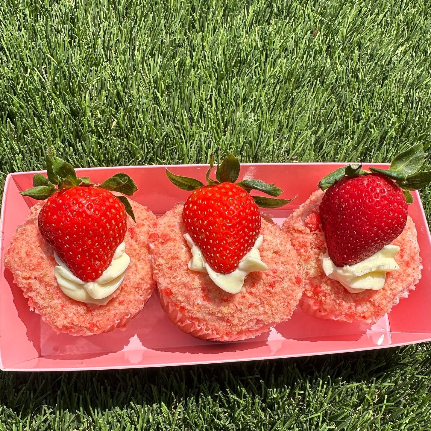 Cheesecake Cupcake