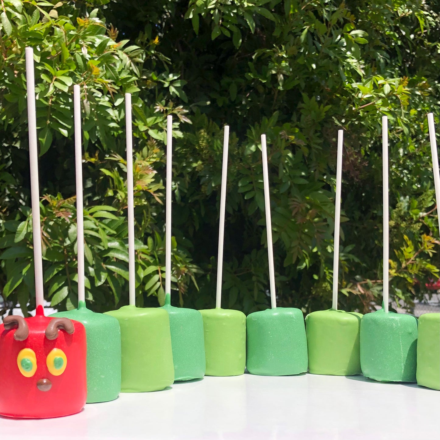 Chocolate Covered Marshmallow Pops 12ct.