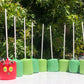 Chocolate Covered Marshmallow Pops 12ct.